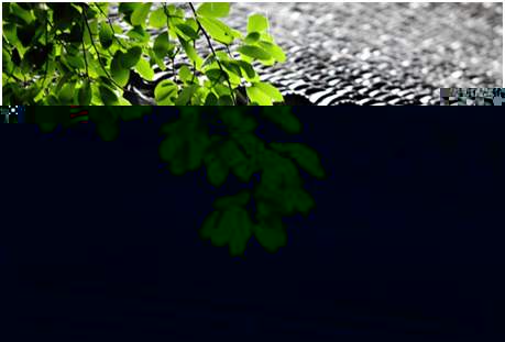 環(huán)境空氣降水中陽離子（Na+、NH4+、K+、Mg2+、Ca2+）的測定離子色譜法