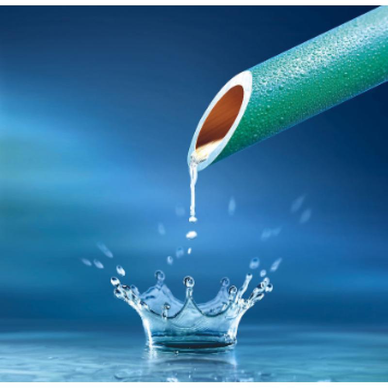 水質(zhì) 氯酸鹽、亞氯酸鹽、溴酸鹽、二氯乙酸和三氯乙酸的測(cè)定 離子色譜法